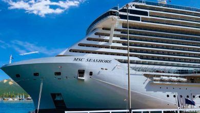 Así es el crucero MSC Seashore de MSC Cruceros