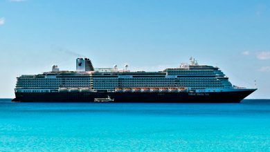 Brote de gastroenteritis afecta a los huespedes y a la triupulacion de un crucero