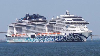 Un joven de 23 años cae por la borda de un barco de MSC Cruceros