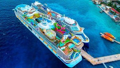 Continúa búsqueda del pasajero de crucero desaparecido en Cozumel